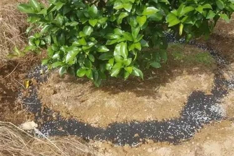 亚磷酸钾和糖醇硅可混合吗