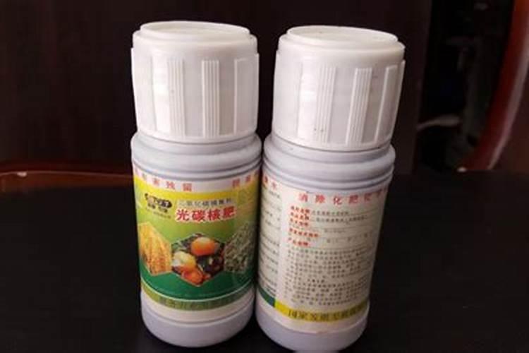 碳氢核肥真的那么神奇吗