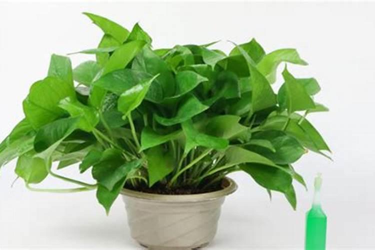 速克灵有哪些特点？