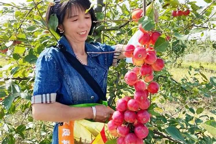 农业技巧:16个套种妙招助你增产又增收!