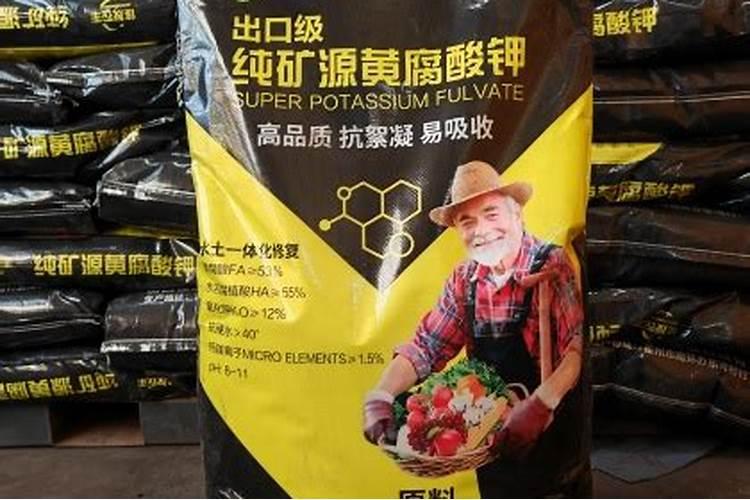 白糖罂荔枝栽培技术