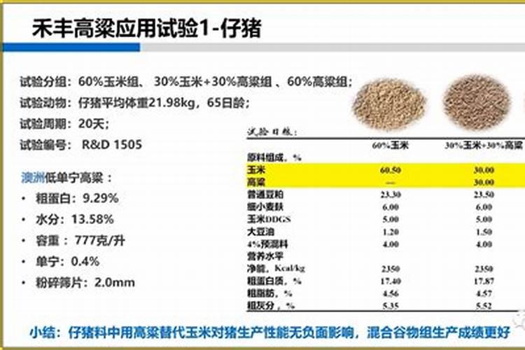 生姜种植什么时候用豆粕好？有什么需要注意的？