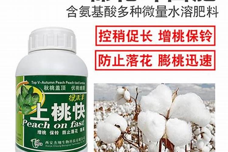 锌肥过量对棉花的危害有哪些