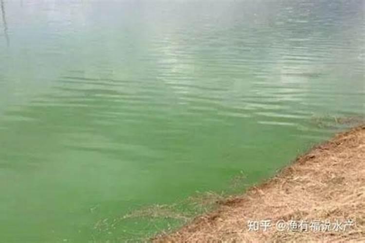 为何说“氮”长叶子“磷”长果,“钾肥”不足长柴火？