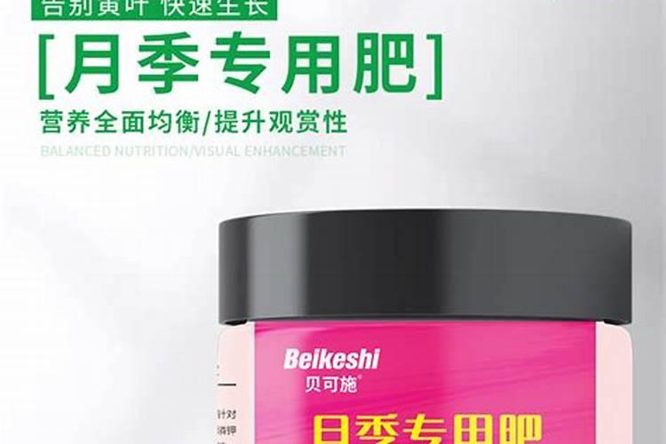 月季应该买哪些肥料