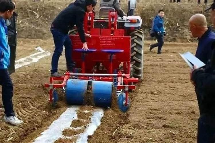 美国邦吉公司特点