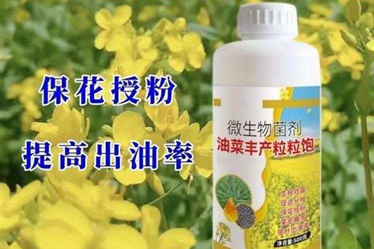 磷酸二氢钾能不能喷雾油菜花吗？