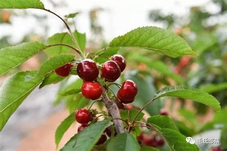 化肥是什么原料做的 化肥原料从哪里来的