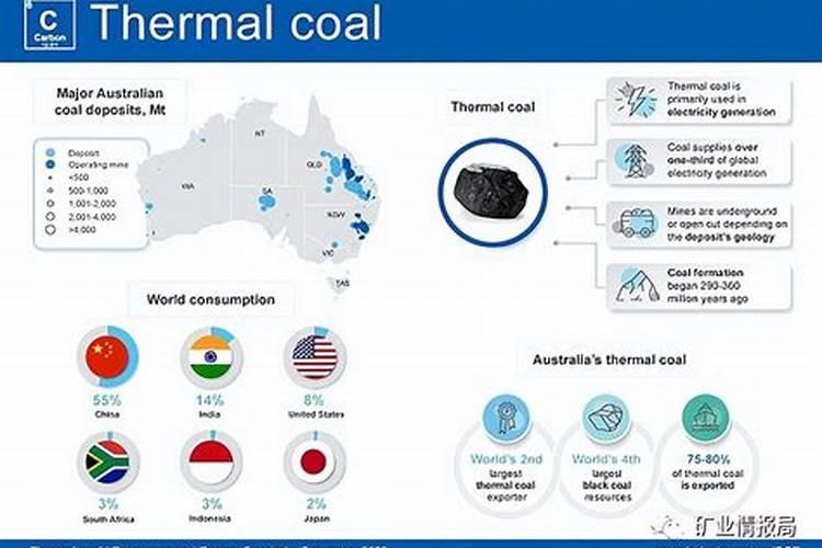 根动力水溶肥浇人参什么时间用