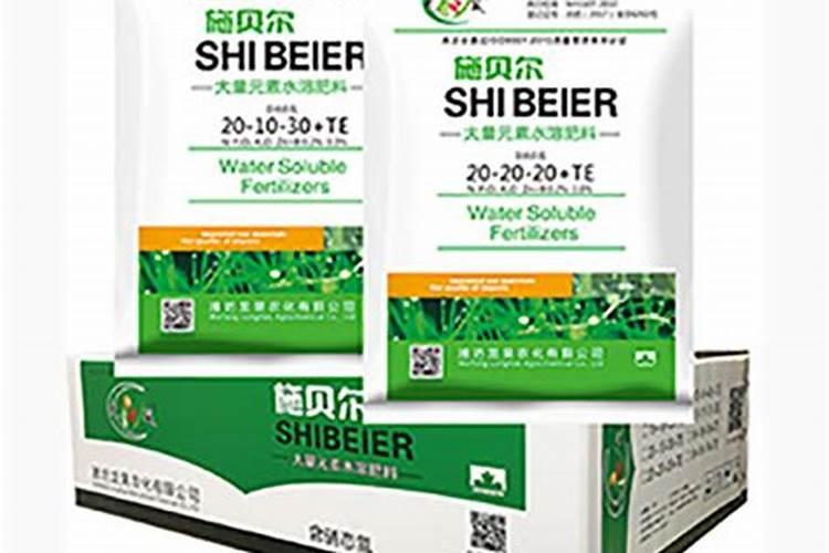 玛塔龟是否能在深水中养