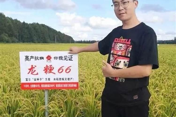 西红柿什么时候浇钙肥