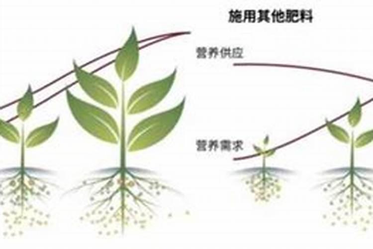 哪些花木喜欢碱性肥料