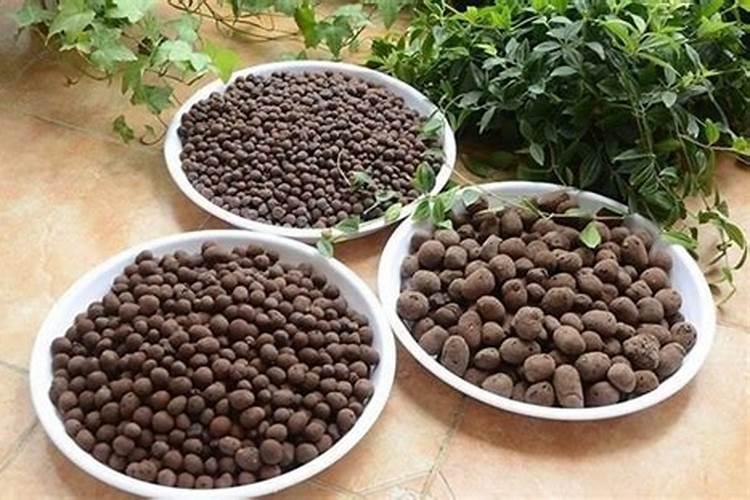 宁波拥有多少浙江省著名商标？