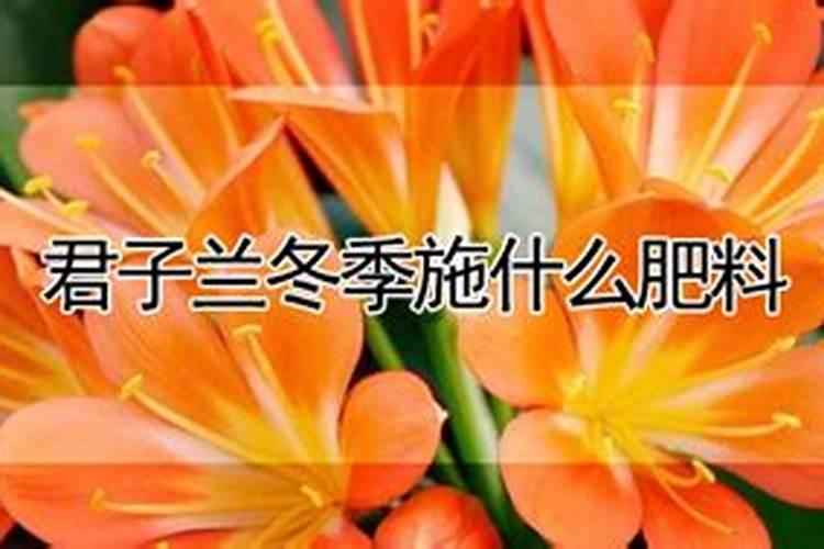 秋冬季可以给花施肥吗