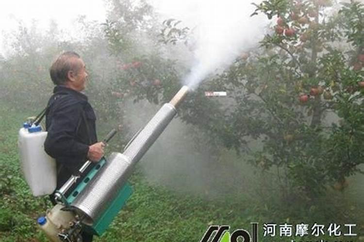 柑橘用什么水溶肥好及水溶肥施用指南