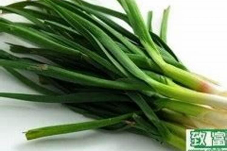 大蒜什么时候施肥最好 大蒜的施肥时间