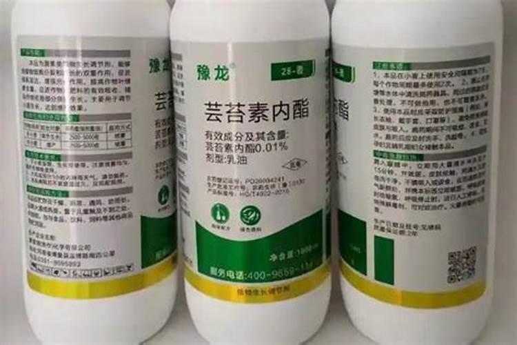 芸苔素内酯对棉花有什么用途以及使用技术和注意事项有哪些？