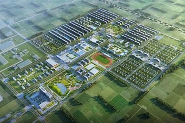 柠檬水浇花好不好 浇花浇植物的正确方法