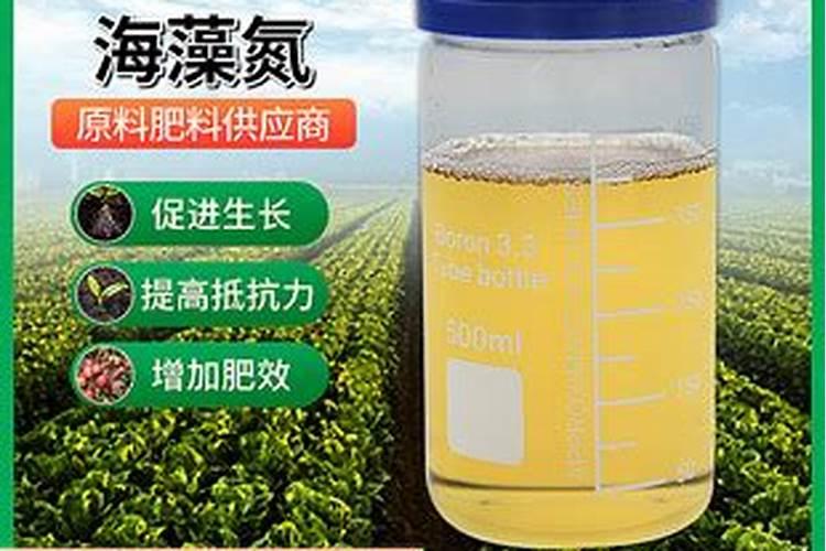 夏天刚铺的草皮可以施什么肥料