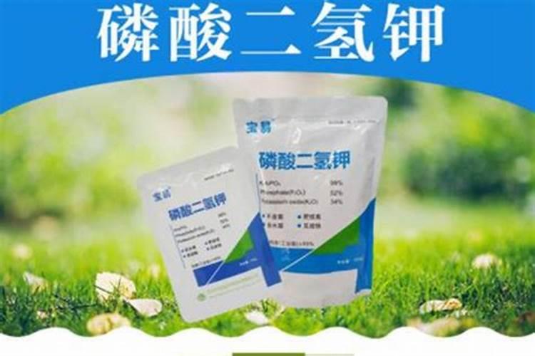 叶面喷施肥有哪些