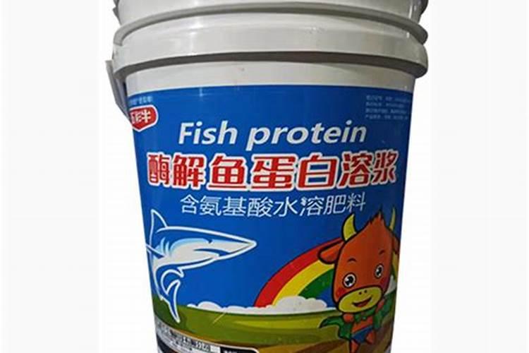 满天星浇水的正确方法