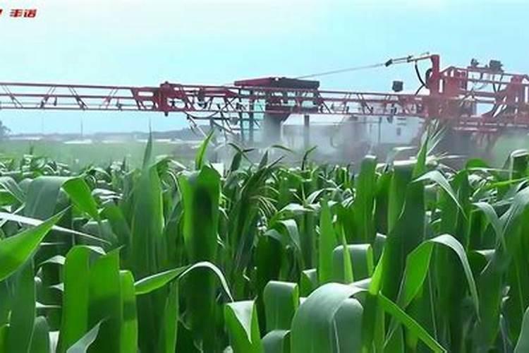 液体氮肥的使用方法 液体氮肥几天见效