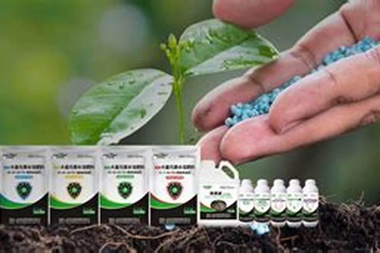 想在大丰收这个农资电商平台上面买化肥,不知道他们家化肥怎么样？