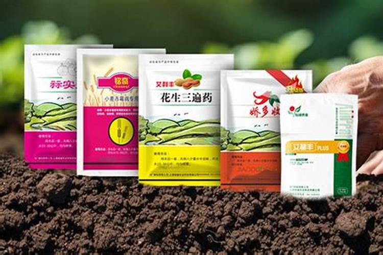 化肥哪里可以批发