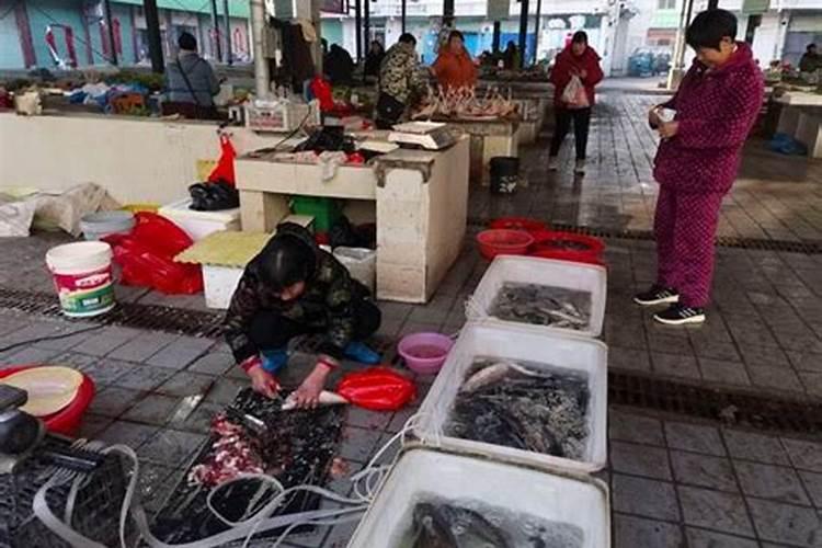 猫粮怎么挑选划算