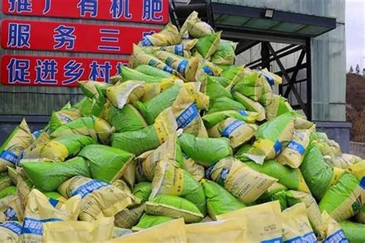 文心兰什么颜色的最受欢迎？