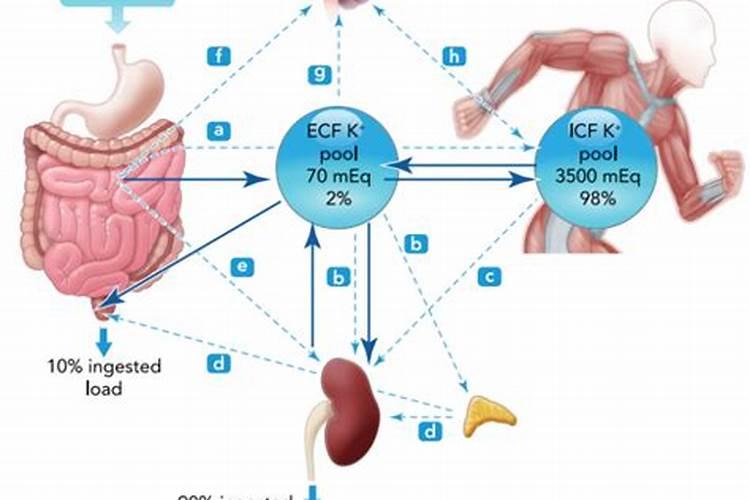 如何给小麦施钾肥？