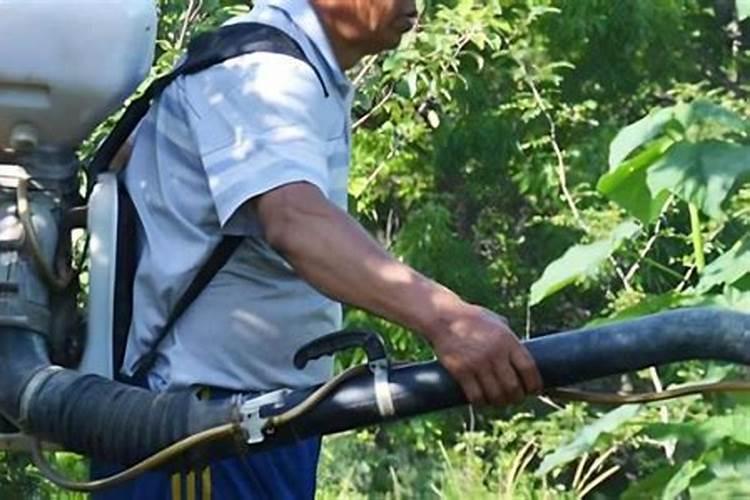 花生死苗,整棵死掉用什么药好？