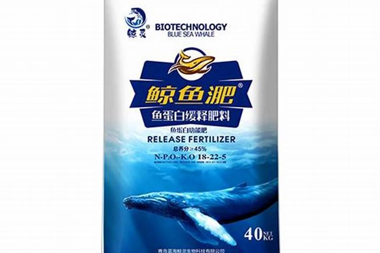 玉米与花生间作套种的原理