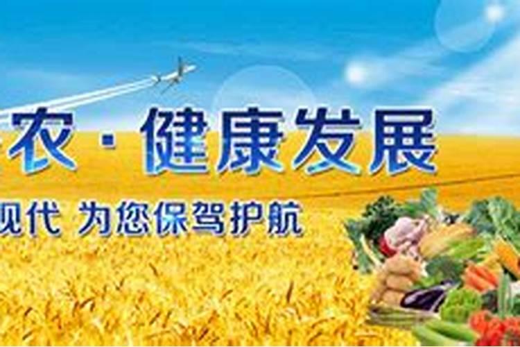 水稻钾肥的正确使用方法及注意事项