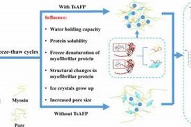 鱼蛋白对植物的作用