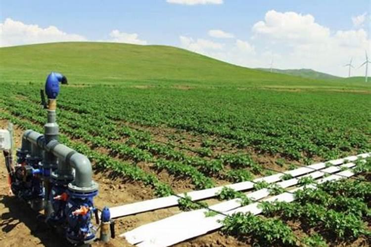 硝硫基复合肥施用需要注意哪些地方？