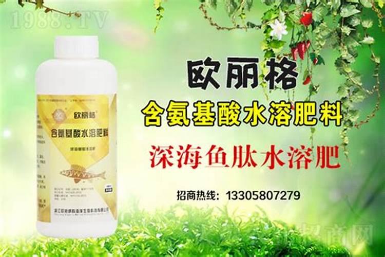 磷酸二氢钾用来根施好还是做叶面肥好？火龙果