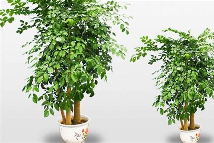 苏州绿地苏州ONE优劣势？