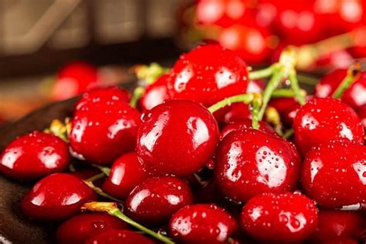 什么水溶肥能促进根系发达？果树如何育苗快速生根？