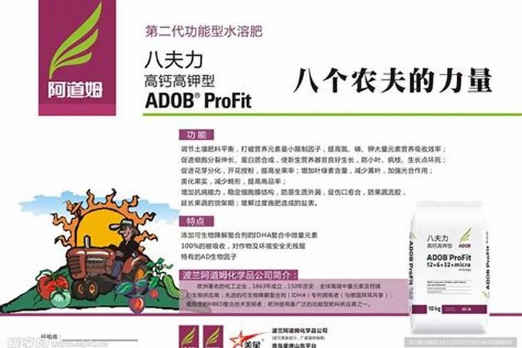 钙肥有哪些品种？