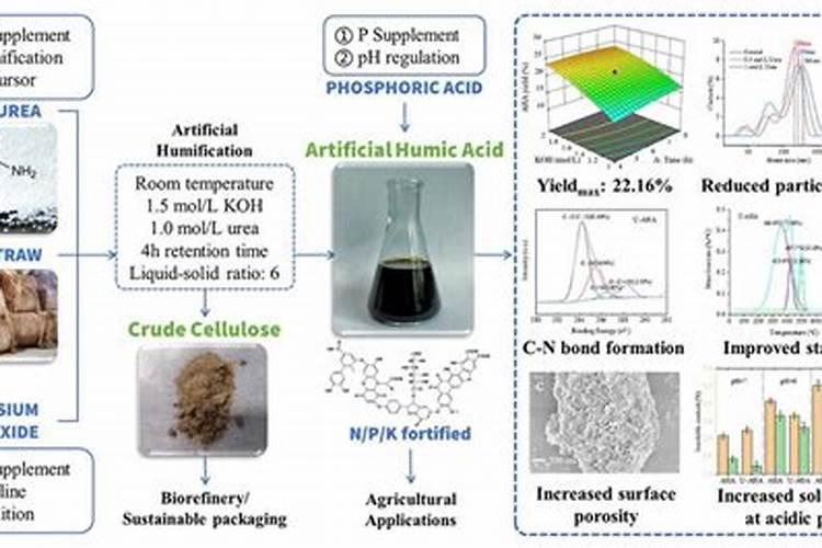 第一年栽的杨树能施肥吗