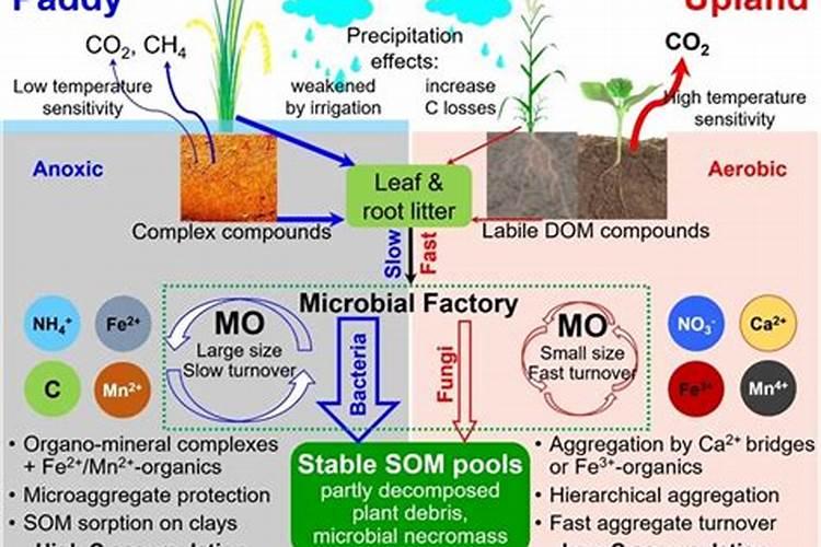 小麦返青肥用碳基多酶氮肥可以吗