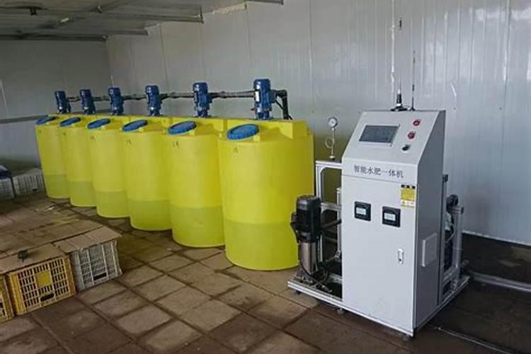 水草怎么养殖方法及注意事项