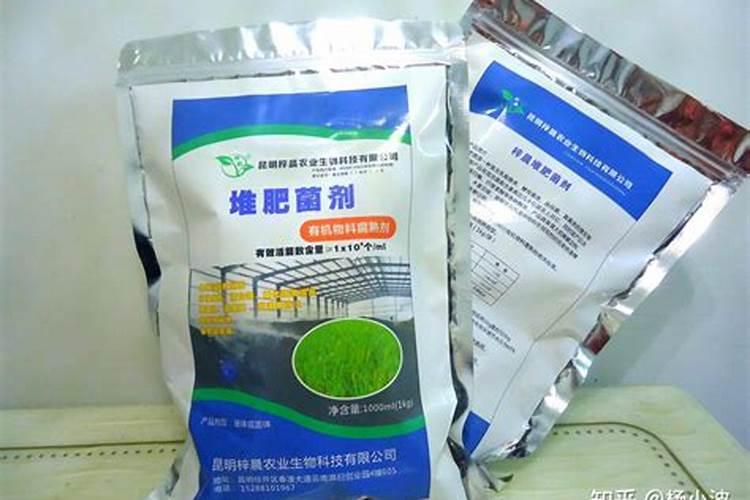 杜鹃花什么时间施肥最好 杜鹃花施肥时间和方法