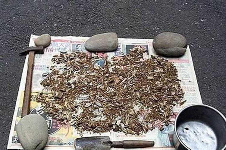 芦荟怎么养护开花 芦荟怎么养护开花办法