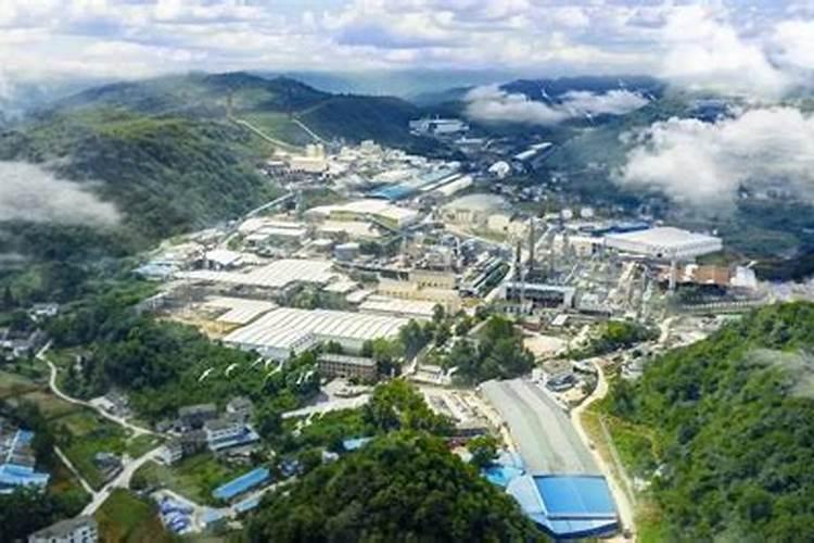 什么是西洋集团