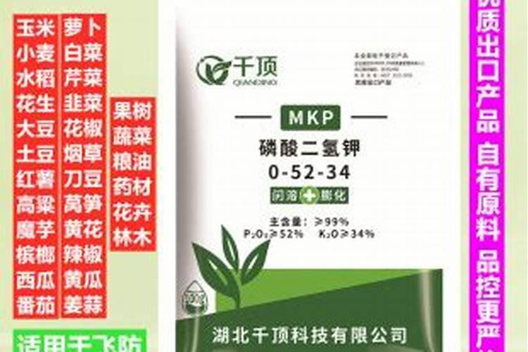 懒汉棉花的种植方法