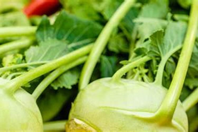 大头菜怎样种植长得好