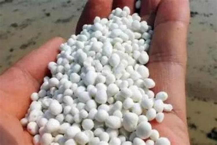 油荼树施什么肥料出油率高？