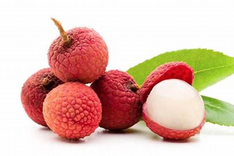 一般花草需要施什么肥花卉百科